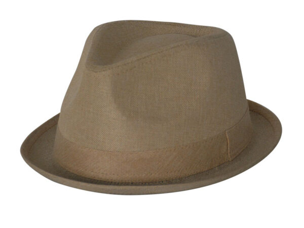 Fedora Leisure Hats 1