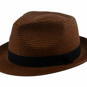 Stylish And Simple Fedora Hats