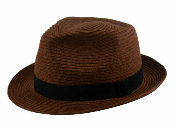 Stylish And Simple Fedora Hats