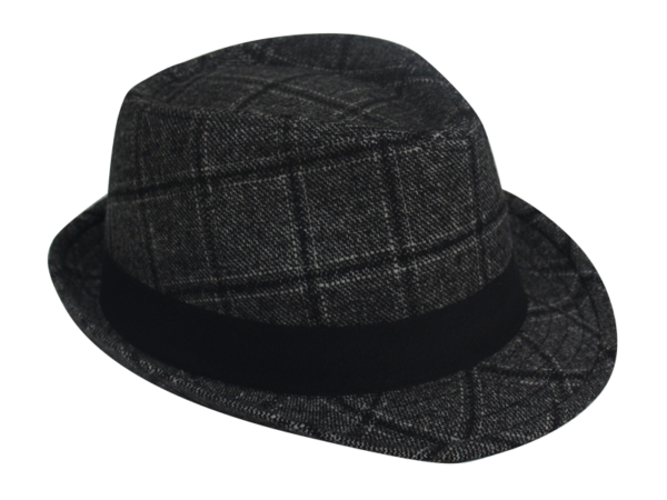 Unisex Fedora Hats